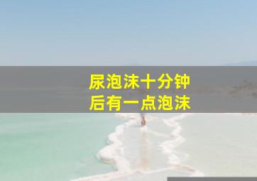 尿泡沫十分钟后有一点泡沫