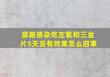 尿路感染吃左氧和三金片5天没有效果怎么回事