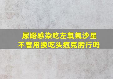 尿路感染吃左氧氟沙星不管用换吃头疱克肟行吗