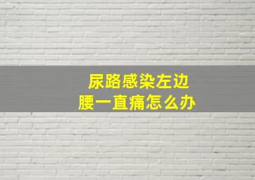 尿路感染左边腰一直痛怎么办