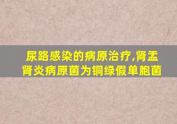 尿路感染的病原治疗,肾盂肾炎病原菌为铜绿假单胞菌