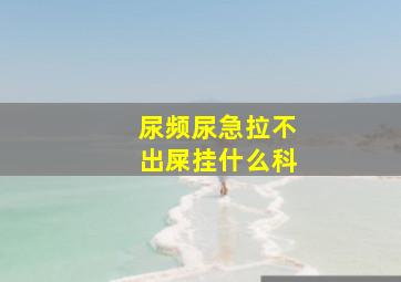 尿频尿急拉不出屎挂什么科