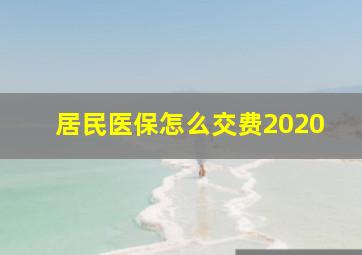 居民医保怎么交费2020