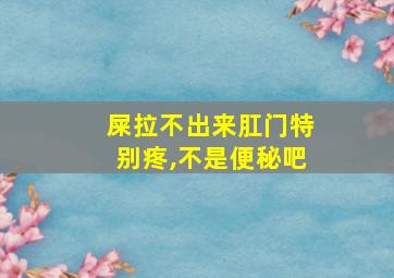 屎拉不出来肛门特别疼,不是便秘吧