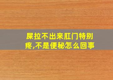 屎拉不出来肛门特别疼,不是便秘怎么回事