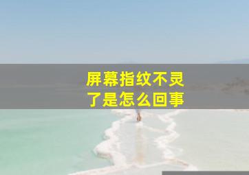 屏幕指纹不灵了是怎么回事