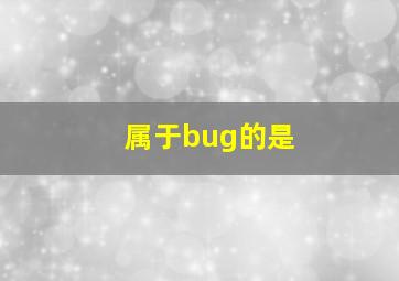 属于bug的是