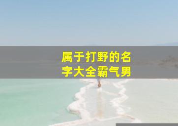 属于打野的名字大全霸气男