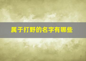 属于打野的名字有哪些