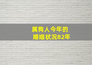 属狗人今年的婚姻状况82年