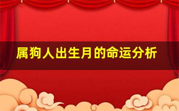 属狗人出生月的命运分析