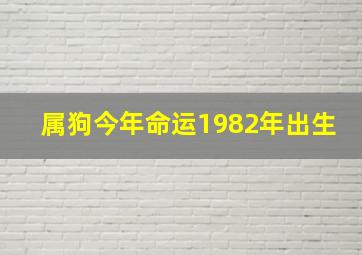 属狗今年命运1982年出生