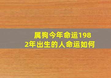 属狗今年命运1982年出生的人命运如何