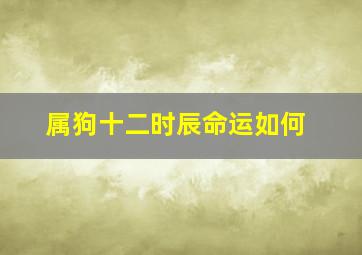 属狗十二时辰命运如何