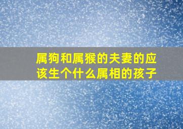 属狗和属猴的夫妻的应该生个什么属相的孩子