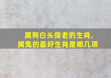 属狗白头偕老的生肖,属兔的最好生肖是哪几项