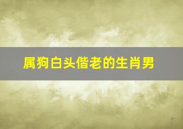 属狗白头偕老的生肖男