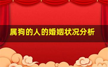 属狗的人的婚姻状况分析