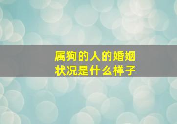 属狗的人的婚姻状况是什么样子