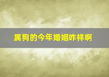 属狗的今年婚姻咋样啊