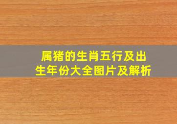 属猪的生肖五行及出生年份大全图片及解析