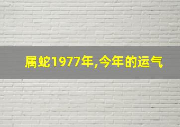 属蛇1977年,今年的运气