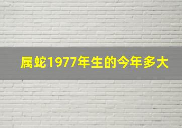 属蛇1977年生的今年多大