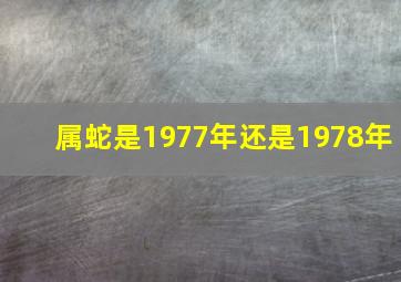 属蛇是1977年还是1978年