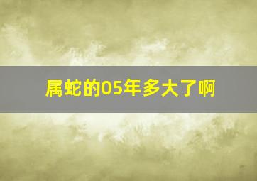 属蛇的05年多大了啊