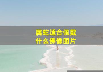 属蛇适合佩戴什么佛像图片