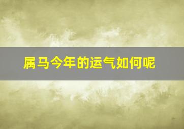 属马今年的运气如何呢