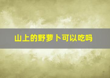 山上的野萝卜可以吃吗