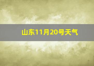 山东11月20号天气