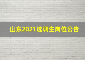 山东2021选调生岗位公告