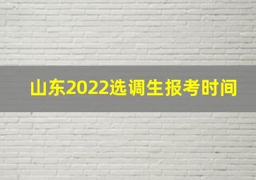 山东2022选调生报考时间