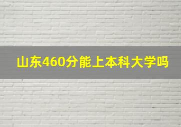 山东460分能上本科大学吗