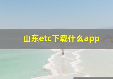 山东etc下载什么app