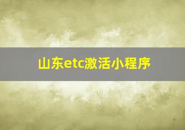 山东etc激活小程序