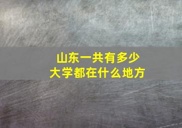 山东一共有多少大学都在什么地方