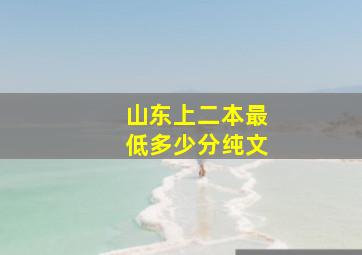 山东上二本最低多少分纯文