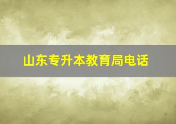 山东专升本教育局电话