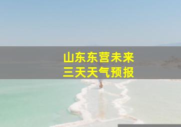 山东东营未来三天天气预报