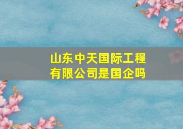 山东中天国际工程有限公司是国企吗