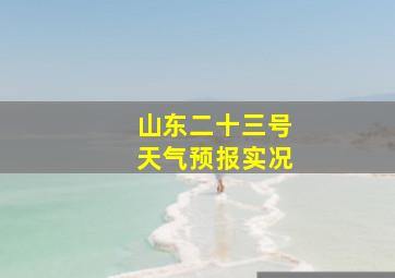 山东二十三号天气预报实况