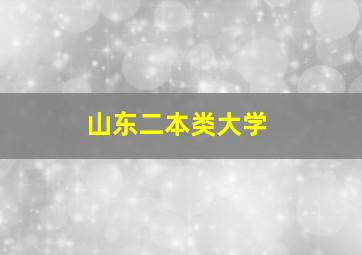 山东二本类大学