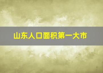 山东人口面积第一大市