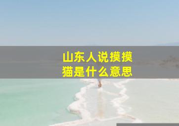 山东人说摸摸猫是什么意思