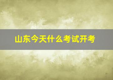 山东今天什么考试开考