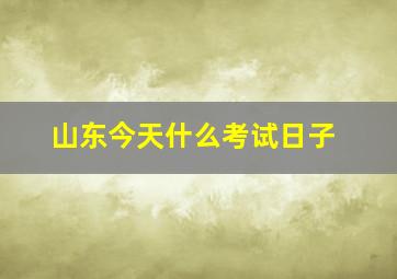 山东今天什么考试日子