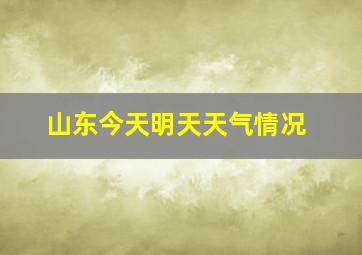 山东今天明天天气情况